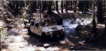Ben's Hummer posing in mid-stream
